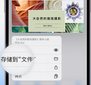 广平apple维修中心分享iPhone文件应用中存储和找到下载文件