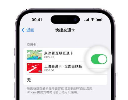 广平apple维修点分享iPhone上更换Apple Pay快捷交通卡手绘卡面 