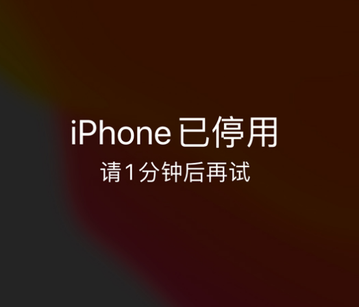 广平苹果手机维修分享:iPhone 显示“不可用”或“已停用”怎么办？还能保留数据吗？ 