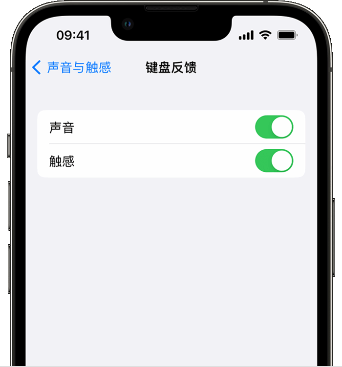 广平苹果14维修店分享如何在 iPhone 14 机型中使用触感键盘 