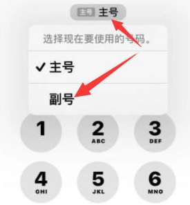 广平苹果14维修店分享iPhone 14 Pro Max使用副卡打电话的方法 