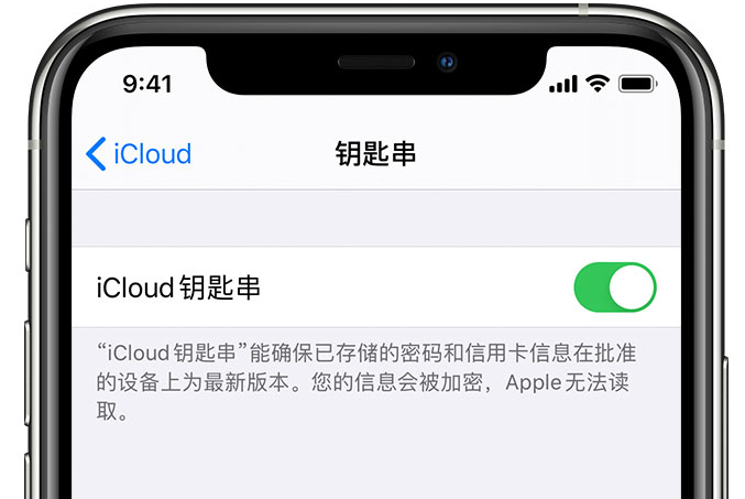 广平苹果手机维修分享在 iPhone 上开启 iCloud 钥匙串之后会储存哪些信息 