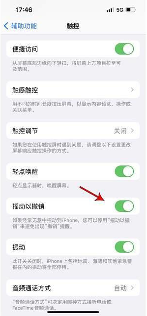 广平苹果手机维修分享iPhone手机如何设置摇一摇删除文字 