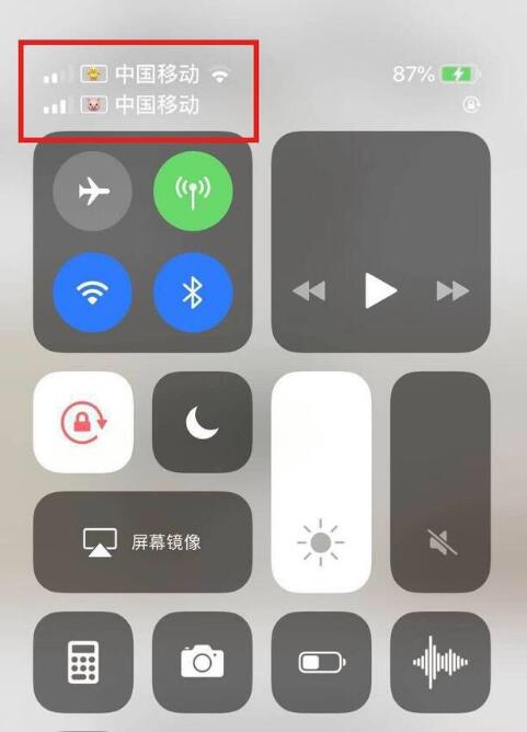 广平苹果手机维修分享为 iPhone 12 双卡设置标签 
